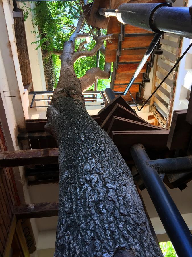 Eco Hotel Gota Del Chaco Villamontes Dış mekan fotoğraf