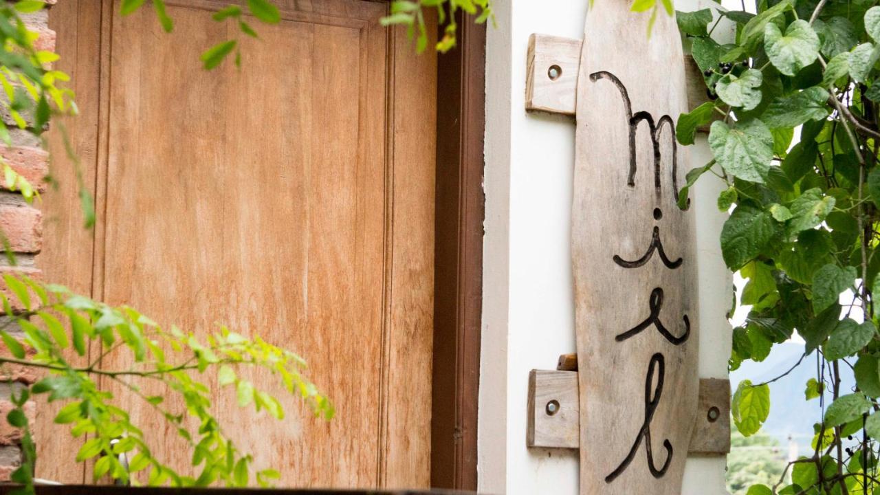 Eco Hotel Gota Del Chaco Villamontes Dış mekan fotoğraf